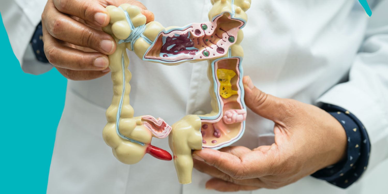 Naturopathic Medicine and the use of Prebiotics Probiotics and Postbiotics in Managing Digestive Concerns 1