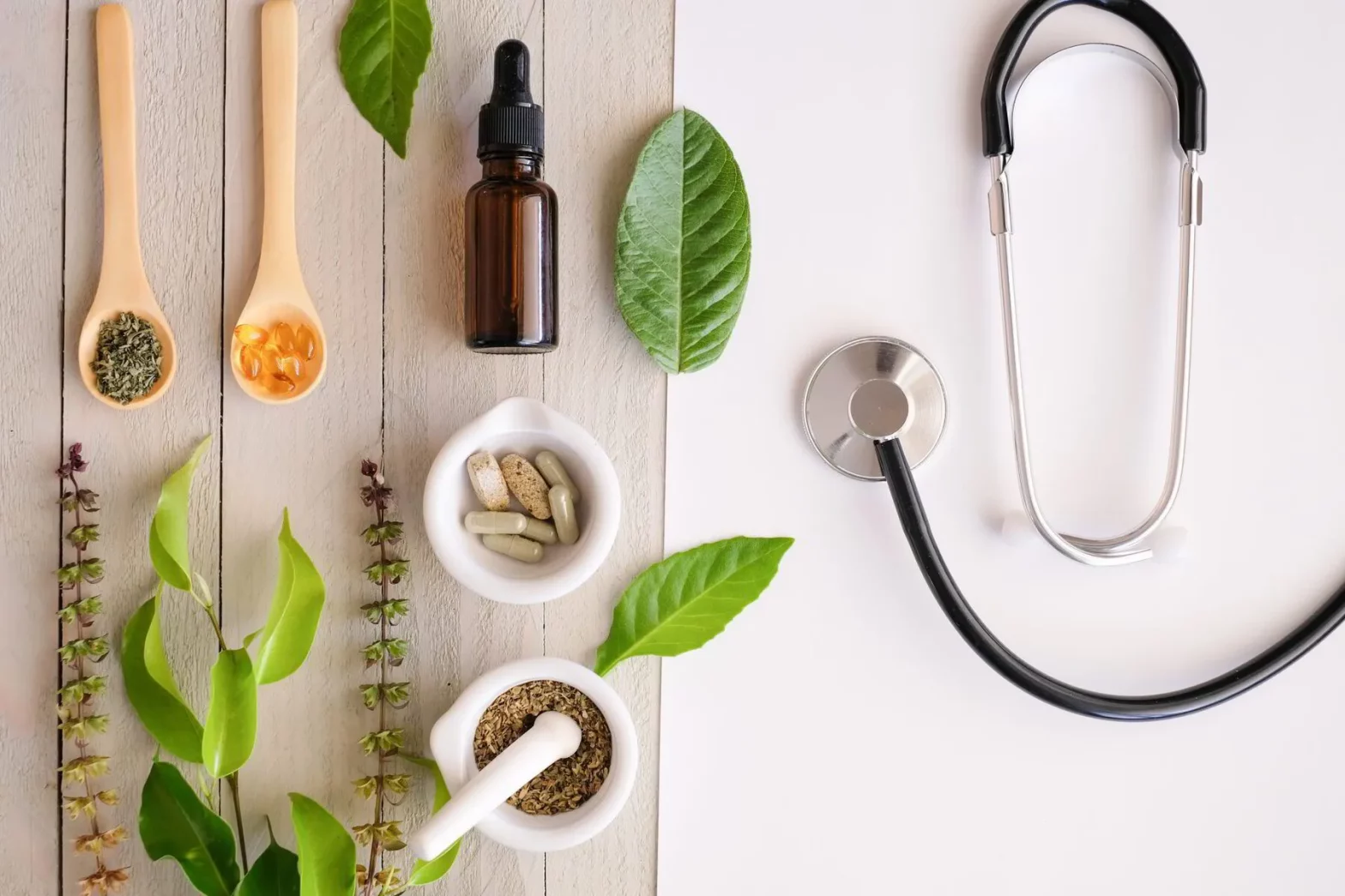 What does the naturopathic doctor do